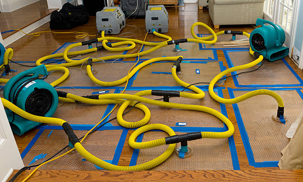 Professional Water Extraction technician working in Bradner, OH